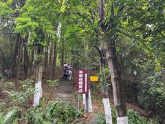 -广州市帽峰山景区