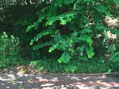 -百味馆·粤菜·湛江菜(后海花园店)