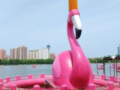 -莲花池公园