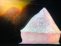 -印象莫奈时光映迹艺术展