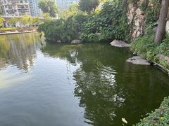 -纪念孙中山市政公园