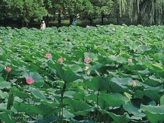 -云龙湖旅游景区