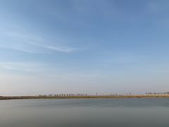 -南大港湿地风景区