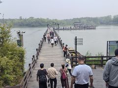 -溱湖国家湿地公园