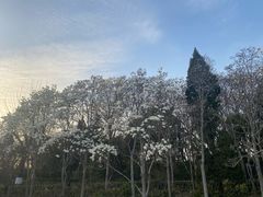 -济南大明湖景区