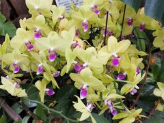 -北京植物园-展览温室