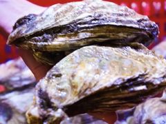 -巽寮印象美食部落餐厅·海鲜·地方特色菜(惠州体验店)