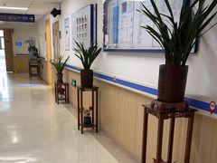-上海市第四人民医院