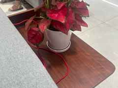 -招商银行(深圳罗湖支行)