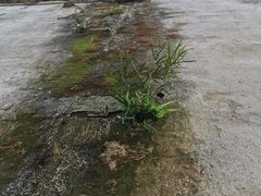 -乌镇东栅景区