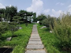 -石家庄市植物园