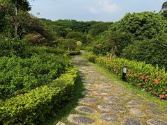 -东莞植物园