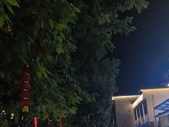 -花溪公园