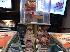 -哈根达斯(石家庄北国店)