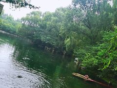 -百脉泉景区