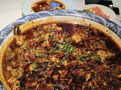 -新概念来凤鱼(璧山店)