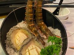 -鲜入围煮花胶鸡海鲜火锅
