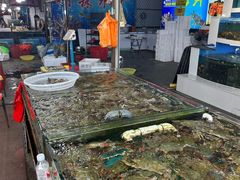 -韩家墅海吉星农产品批发市场