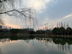 -洋湖国家湿地公园