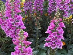 -白云山索道-售票处