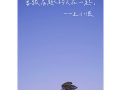 -红土地风景区
