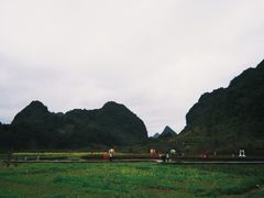 -靖西鹅泉风景区
