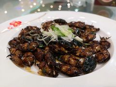 -渔民新村(番禺总店)