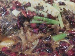 -老板恋上鱼(恒隆广场店)