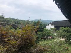 -雨花胜境