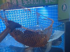 -千岛湖小鱼儿·淳安匠心农家菜