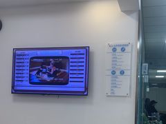 -北京观赏动物医院·24小时大型综合·猫专科·异宠专科