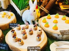 -常州富力喜来登酒店 Feast盛宴标帜西餐厅(新北万达广场店)