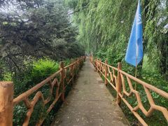 -白渔泡湿地公园