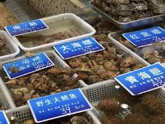 水产区-双井轩(双井店)