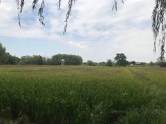 -长兴太湖图影湿地文化园