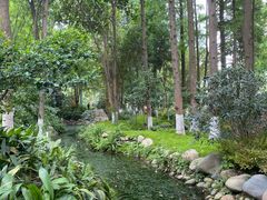 -成都市活水公园