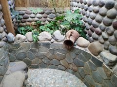 -云涛森林温泉