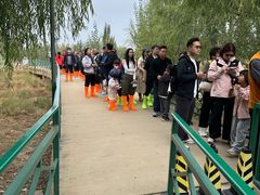 -银肯塔拉沙漠生态旅游景区