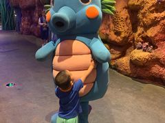 -青岛嘉年华主题乐园