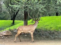 -北京野生动物园