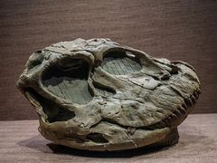 -自贡恐龙博物馆