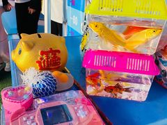 -南湖梦幻岛