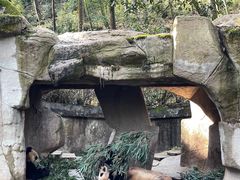 -中国大熊猫保护研究中心雅安碧峰峡基地