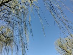 -元大都城垣遗址公园