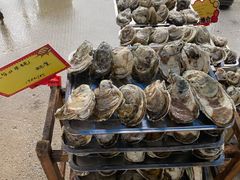 -蚝专家(北滘店)
