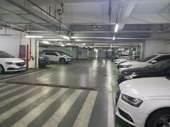 -复旦软件园·智慧新天地-停车场