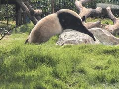 -泉城欧乐堡梦幻世界