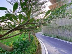 -台山颐和温泉城