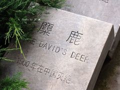 -北京麋鹿生态实验中心