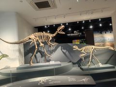 -自贡恐龙博物馆